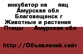 инкубатор на 1000яиц - Амурская обл., Благовещенск г. Животные и растения » Птицы   . Амурская обл.